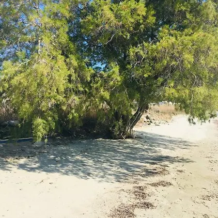 Filippos Agios Sostis Beachtinos Vila *