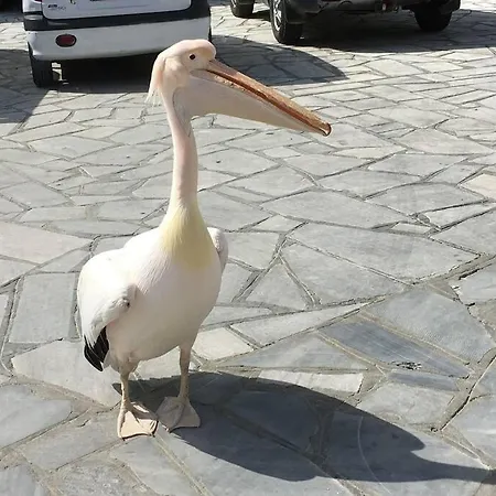 Vila Filippos Agios Sostis Beachtinos *